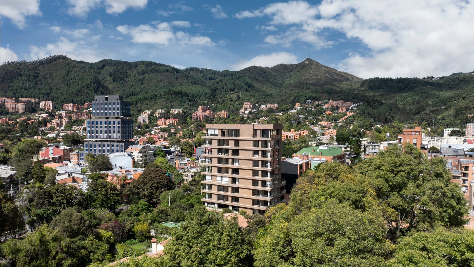 FORESTAL — imagen 9