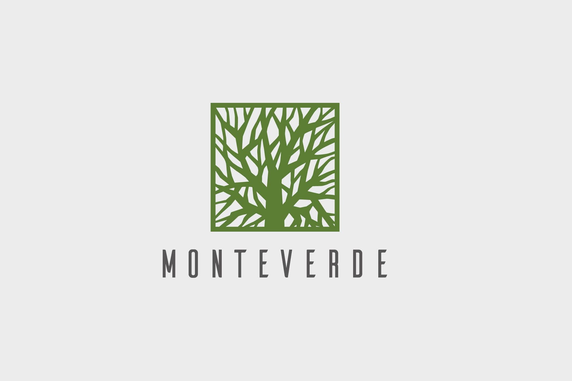 MONTEVERDE